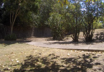 Image for Col. Buena Vista