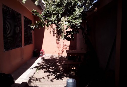 Image for Colonia Torocagua